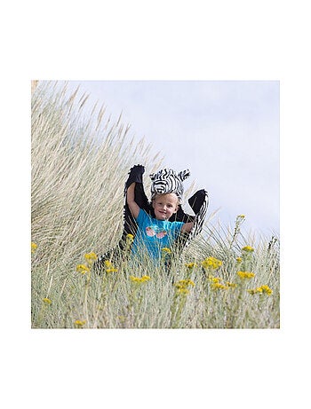 Déguisement peluche 3 en 1 zèbre - Plaid, Déguisement et Tapis