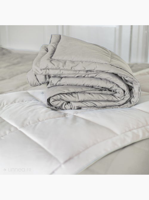 Dessus de lit polyester LAZY Tempéré (mi-saison) 150 g/m2 - Kiabi Dessus de lit polyester LAZY Tempéré (mi-saison) 150 g/m2 - Kiabi