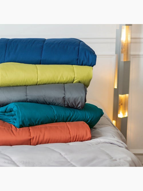 Dessus de lit polyester LAZY Tempéré (mi-saison) 150 g/m2 - Kiabi