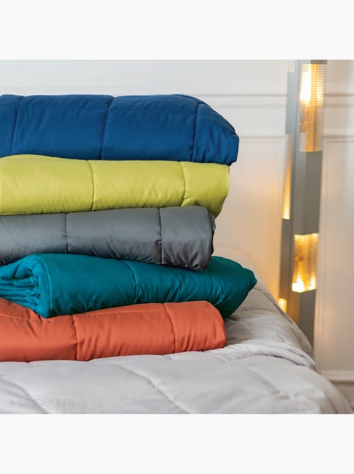 Dessus de lit polyester LAZY Tempéré (mi-saison) 150 g/m2 - Kiabi