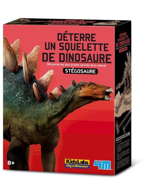 Déterre ton dinosaure : Stegosaure - Kiabi