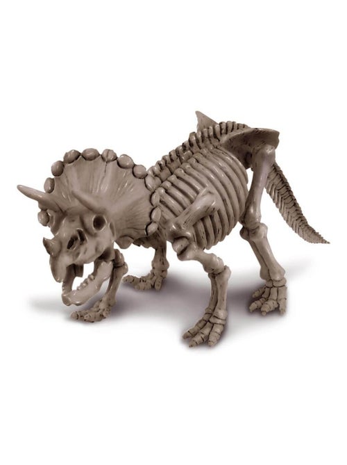 Déterre ton dinosaure : Tricératops - Kiabi