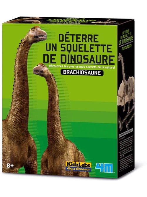 Déterre un squelette de Dinosaure : Le Brachiosaure - Kiabi Déterre un squelette de Dinosaure : Le Brachiosaure - Kiabi