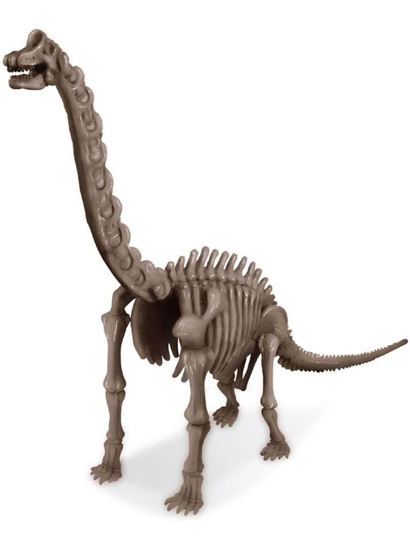 Déterre un squelette de Dinosaure : Le Brachiosaure Bleu - Kiabi