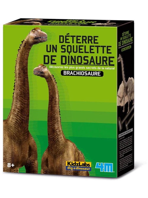 Déterre un squelette de Dinosaure : Le Brachiosaure - Kiabi