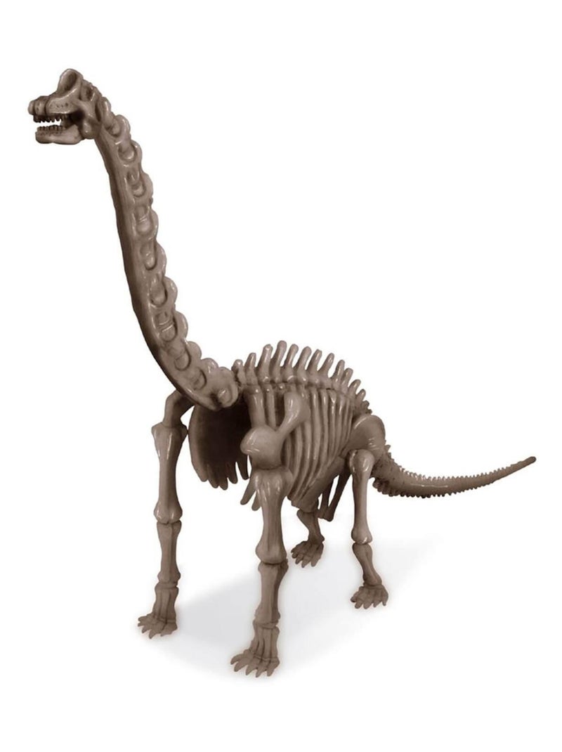Déterre un squelette de Dinosaure : Le Brachiosaure Multicolore - Kiabi