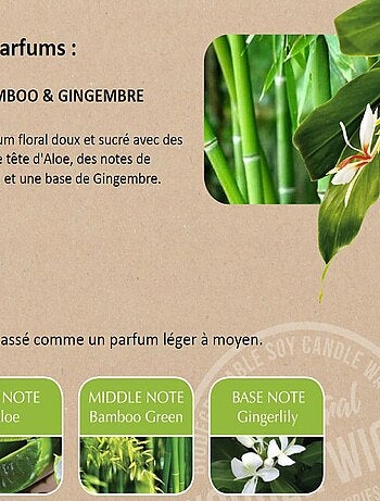 Diffuseur à bâtons éco responsable - Bambou Gingembre