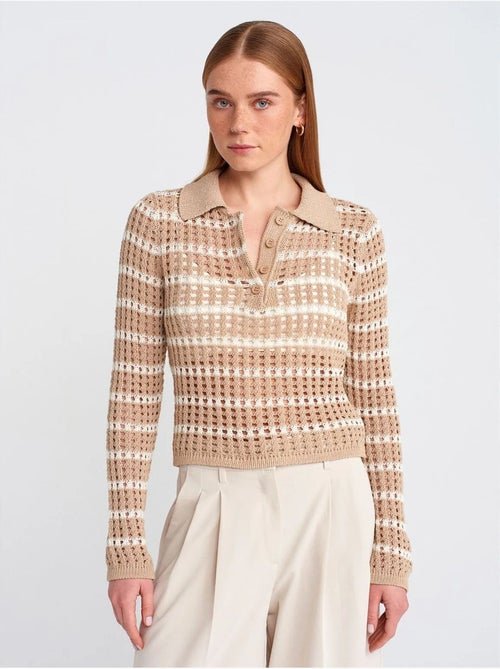 DILVIN Pull En Maille Rayée À Col Polo Et Boutons - Kiabi