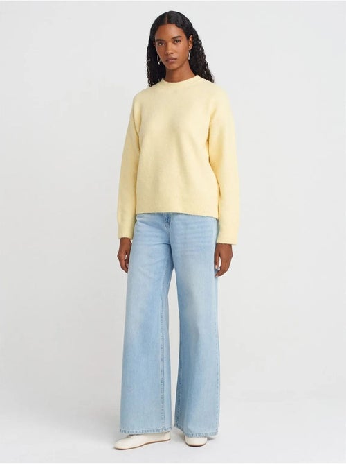 DILVIN Pull Femme Uni À Col Rond Et Maille Côtelée - Kiabi DILVIN Pull Femme Uni À Col Rond Et Maille Côtelée - Kiabi