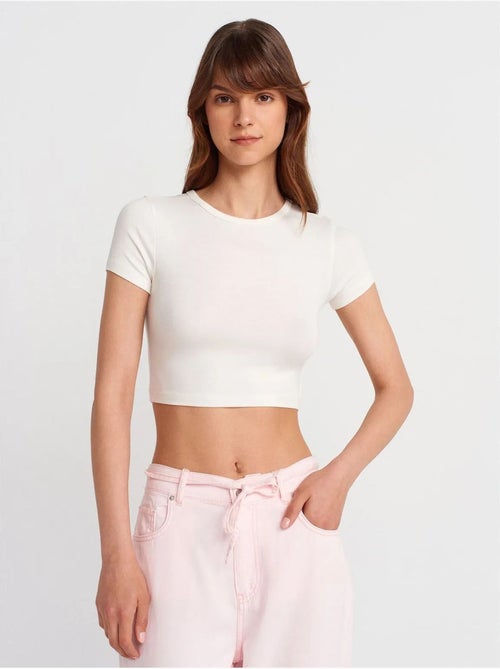 DILVIN T-shirt Crop Femme Coupe Slim À Col Rond - Kiabi DILVIN T-shirt Crop Femme Coupe Slim À Col Rond - Kiabi