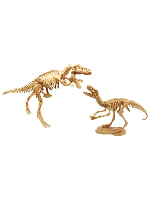 Dino dig t-rex et raptor - Kiabi