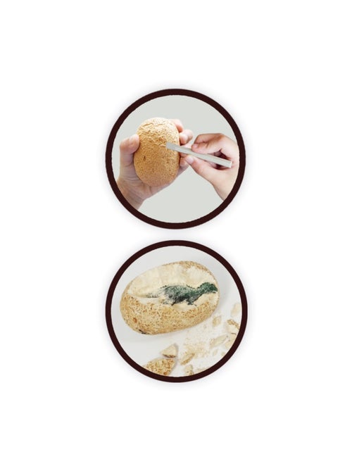 Dino Maxi pack - Kiabi