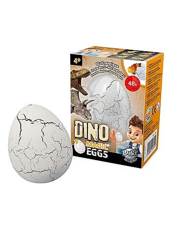 Dino Œuf Magique