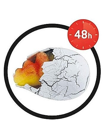 Dino Œuf Magique