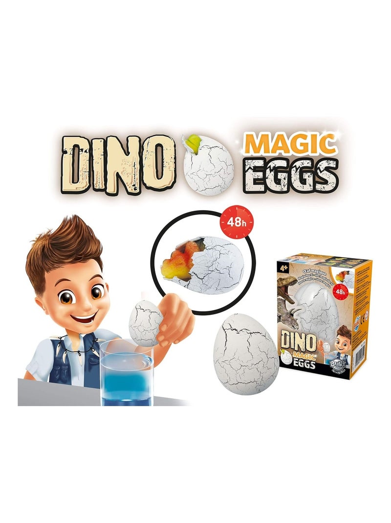 Dino Œuf Magique Gris - Kiabi