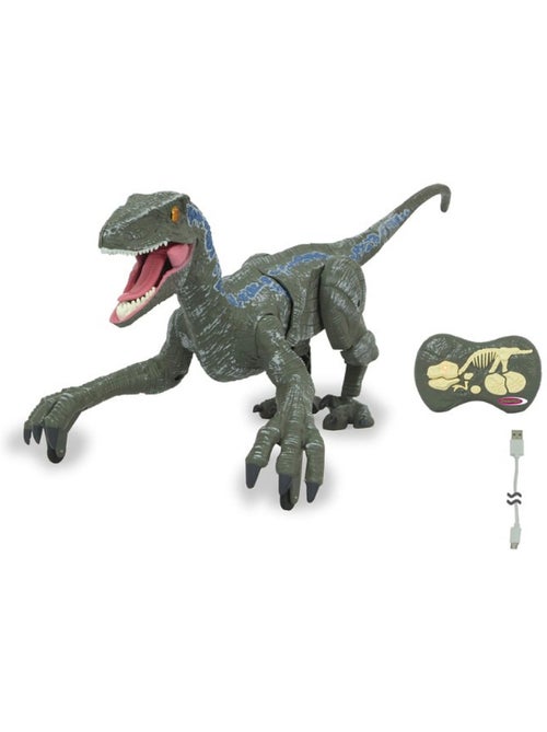 Dinosaure vélociraptor 2,4ghz - Kiabi