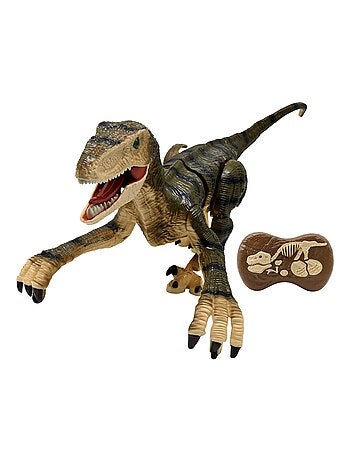 Dinosaure velociraptor télécommandé