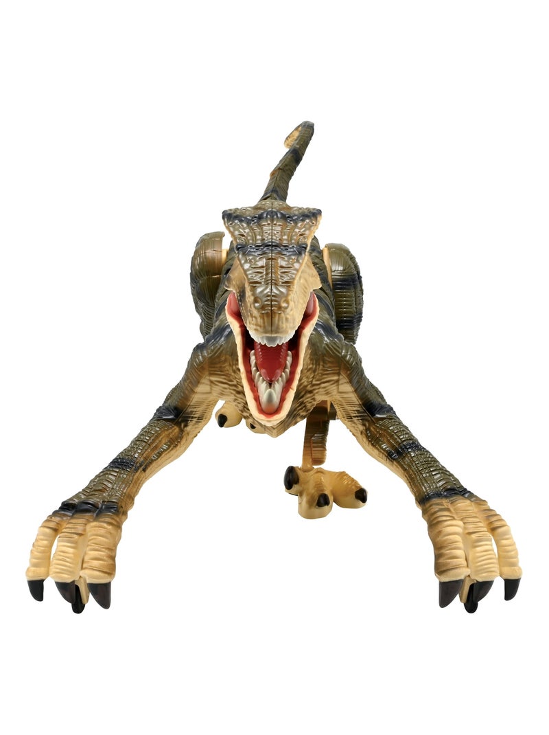 Dinosaure Velociraptor  télécommandé Beige - Kiabi