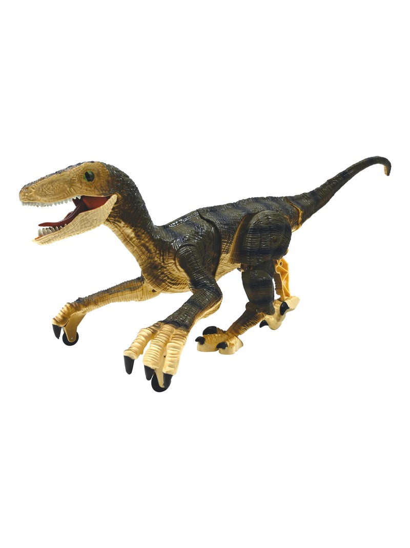 Dinosaure Velociraptor  télécommandé Beige - Kiabi