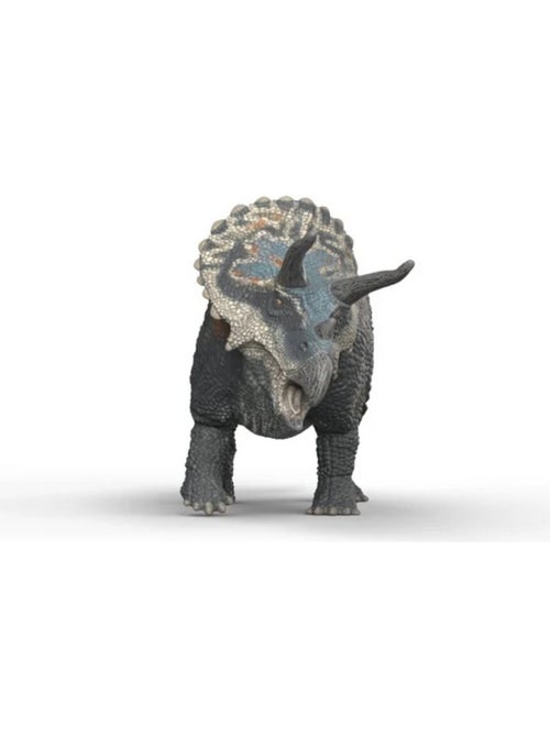 Dinosaurs Tricératops - Kiabi