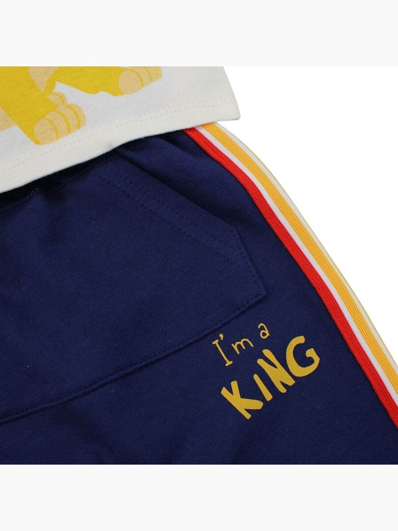 T-shirt Garçon Funnycokid Noir Imprimé Lion – Taille S, Neuf Sans étiquette