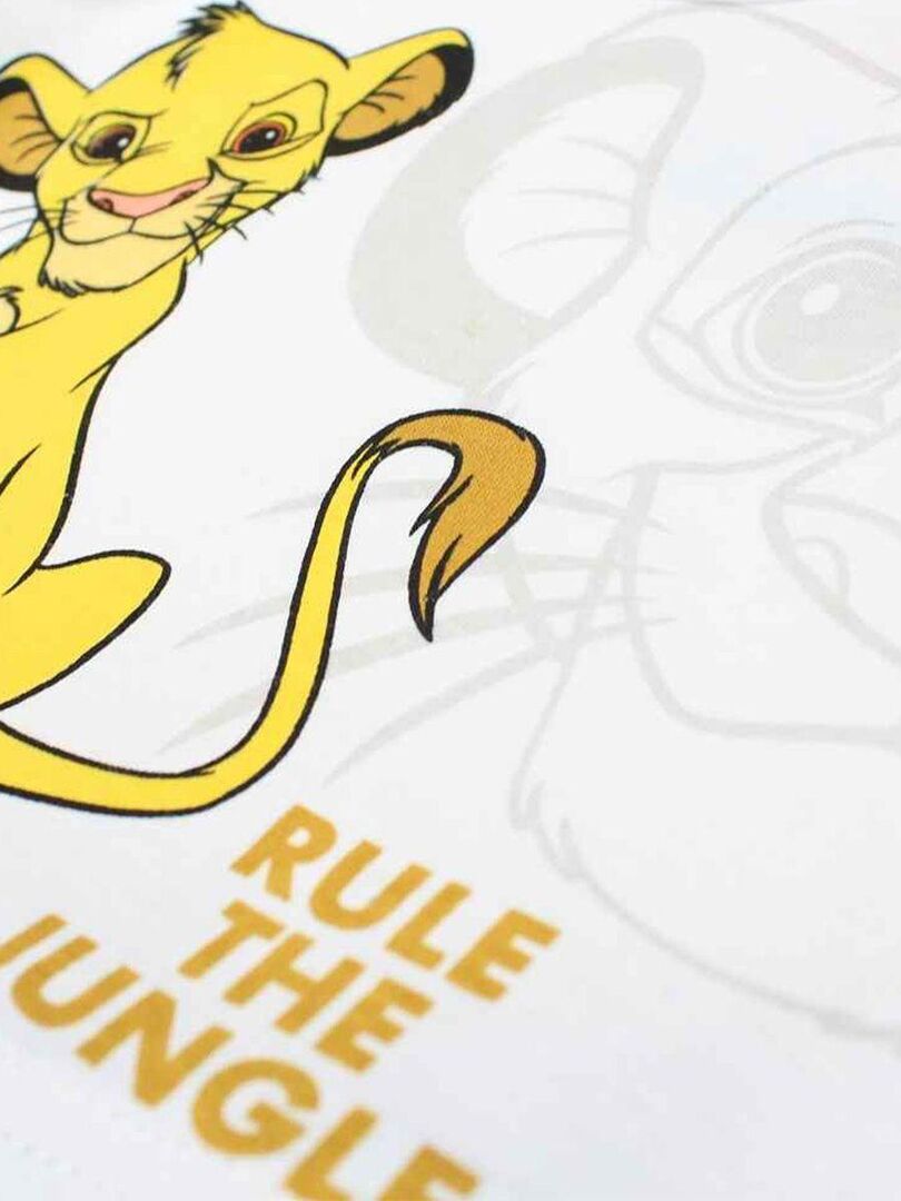 Disney - Grenouillere bébé garçon imprimé Le Roi Lion en coton - Gris -  Kiabi - 11.18€