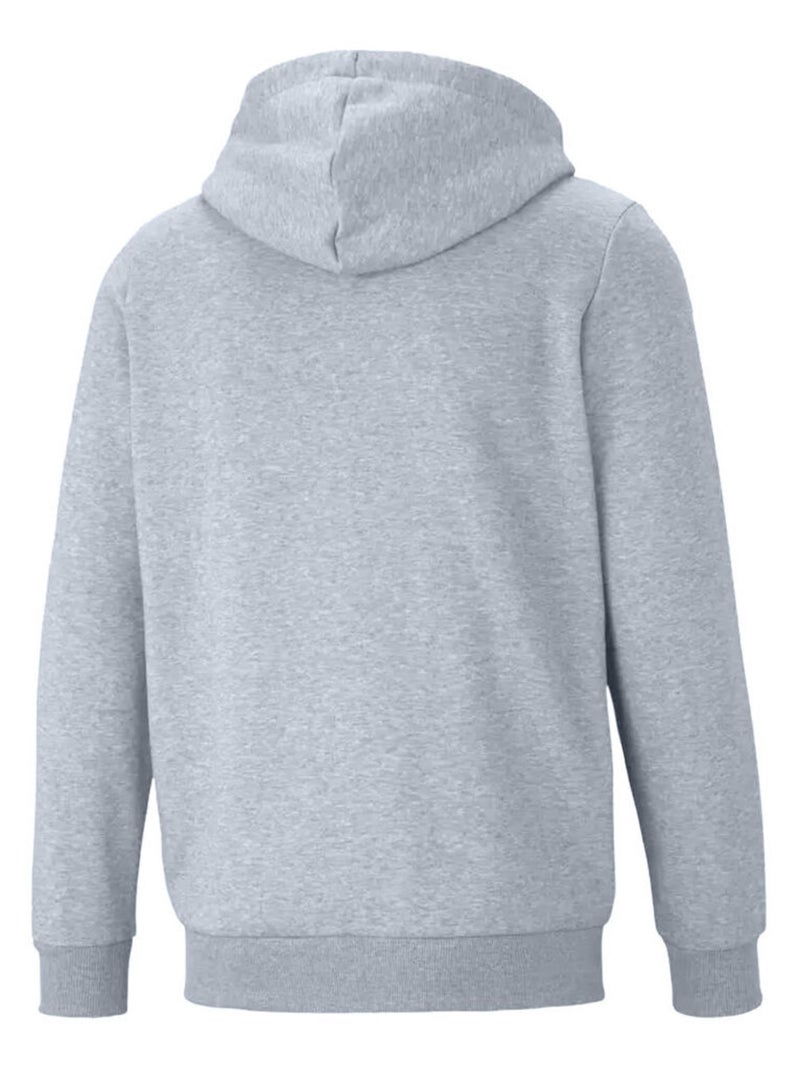 Disney - Sweat à capuche BRAVE THE WAVE Gris chiné - Kiabi