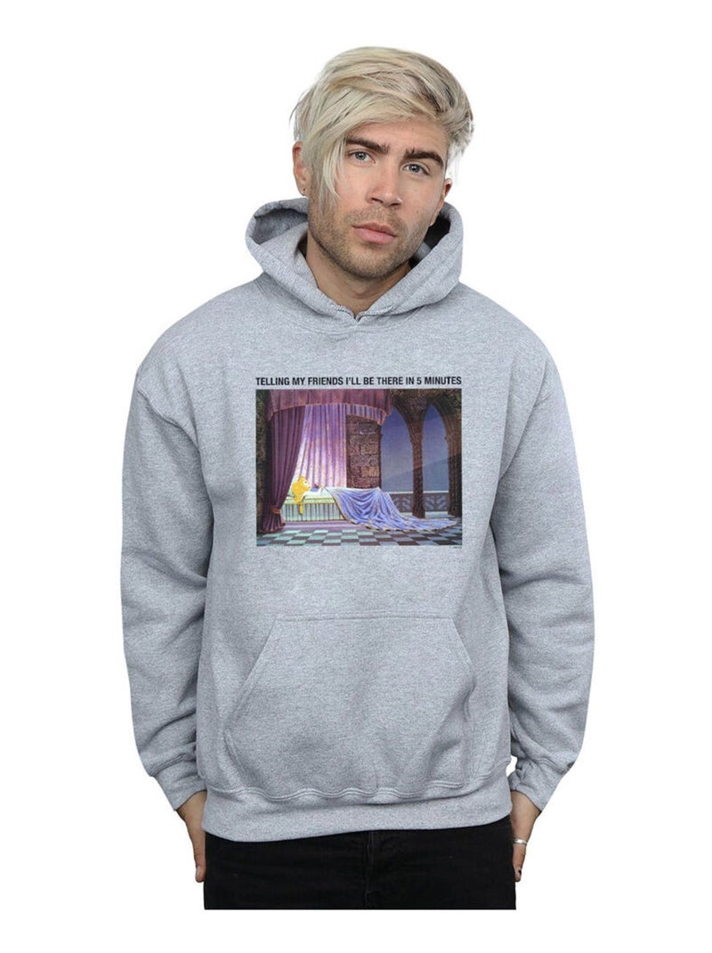 Disney - Sweat à capuche SLEEPING BEAUTY I'LL BE THERE IN Gris chiné - Kiabi