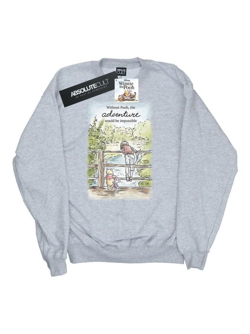 Disney - Sweat ADVENTURE Gris chiné - Kiabi