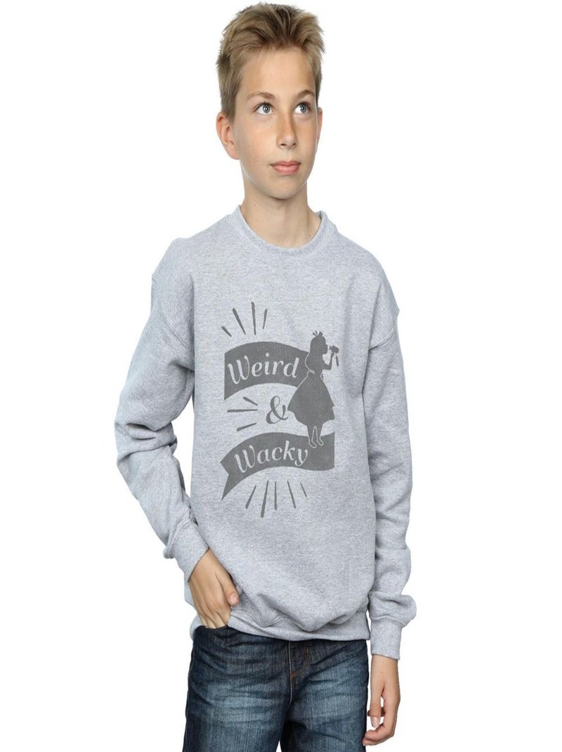 Disney - Sweat ALICE IN WONDERLAND WEIRD AND WACKY Gris chiné - Kiabi