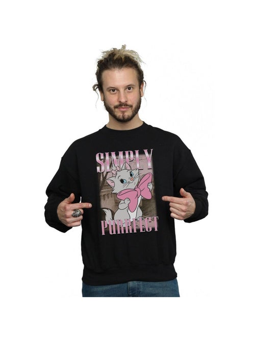 Disney - Sweat ARISTOCATS SIMPLY PURRFECT - Kiabi