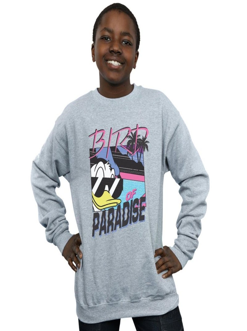 Disney - Sweat BIRD OF PARADISE Gris chiné - Kiabi