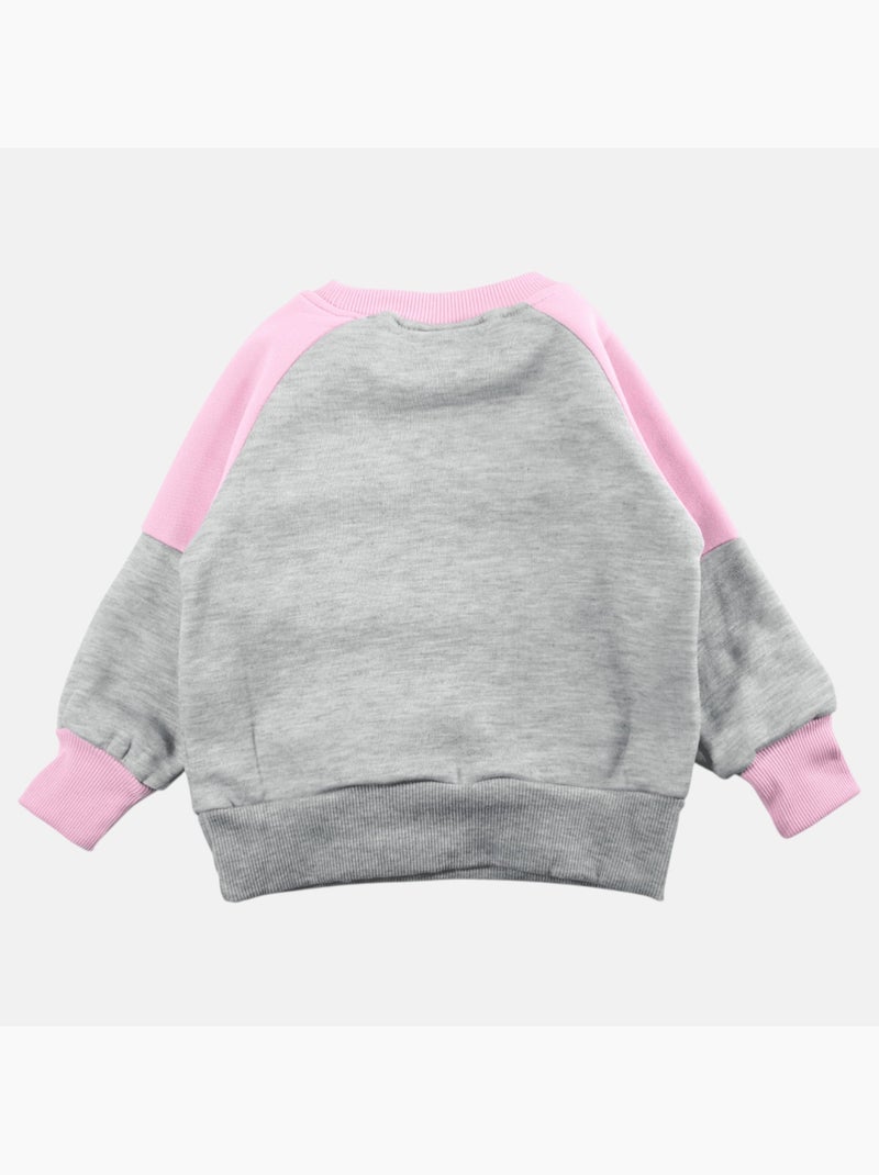 Disney - sweat col rond imprimé, manches longues, poche kangourou et finitions bord-côte Gris - Kiabi