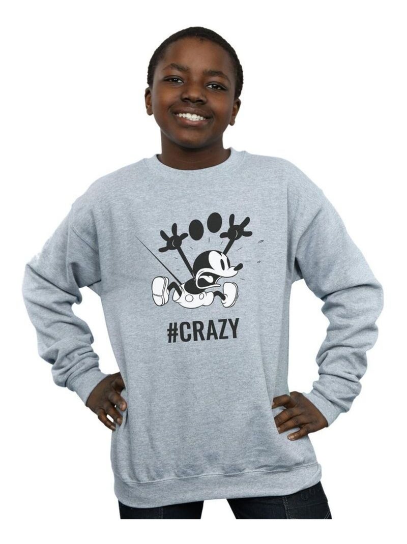 Disney - Sweat #CRAZY Gris chiné - Kiabi
