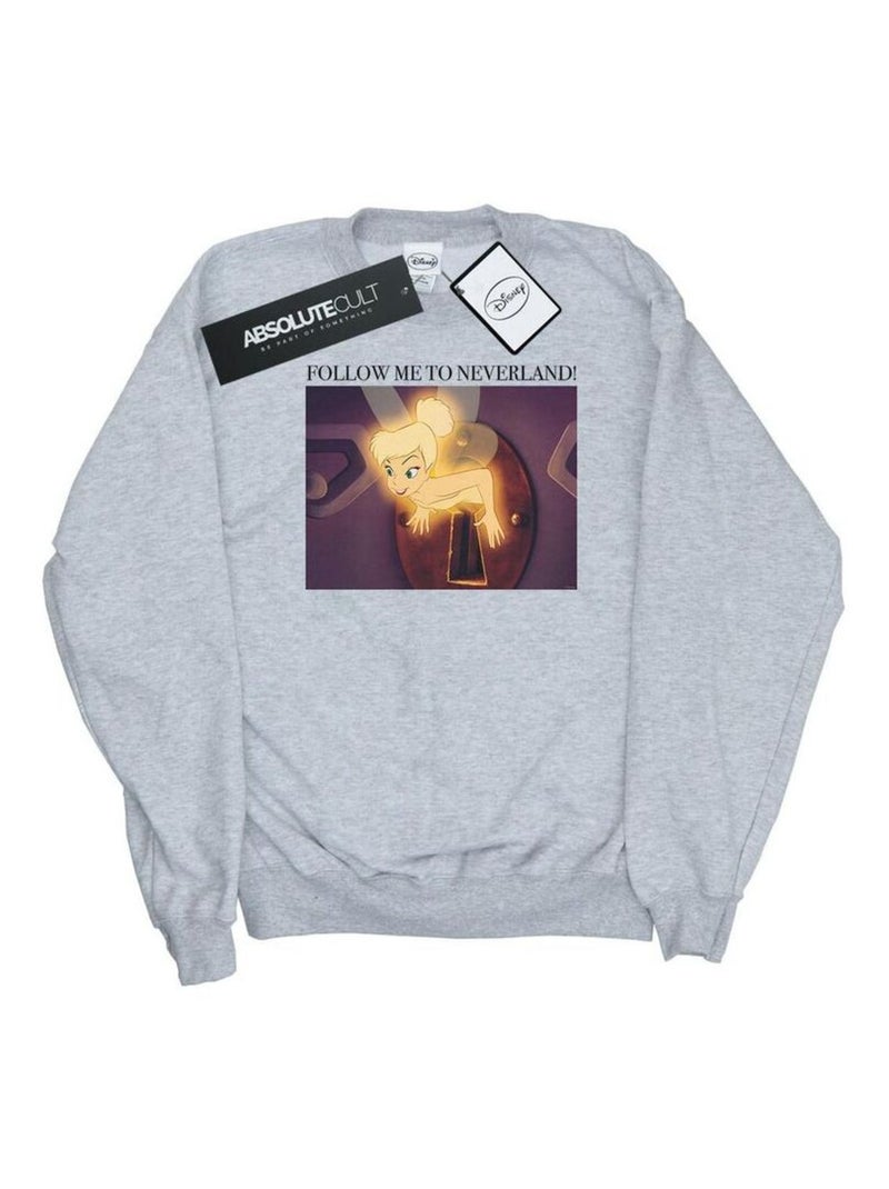 Disney - Sweat FOLLOW ME Gris chiné - Kiabi