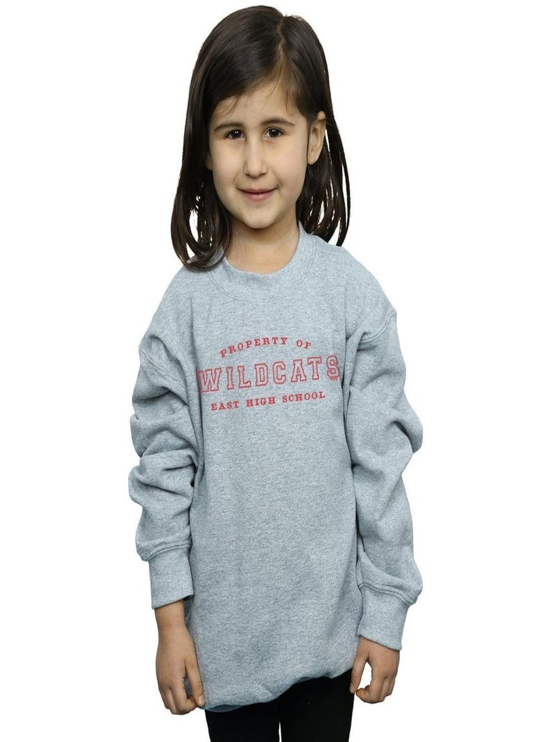 Disney - Sweat HIGH SCHOOL MUSICAL THE MUSICAL PROPERTY OF WILDCATS Gris chiné - Kiabi