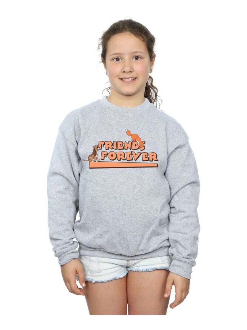 Disney - Sweat LITTLE FRIENDS FOREVER Gris chiné - Kiabi