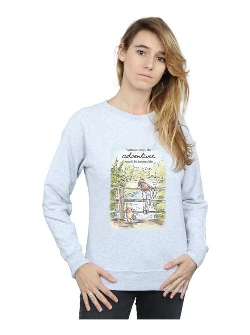 Disney - Sweat motif Winnie l'ourson ADVENTURE - Kiabi