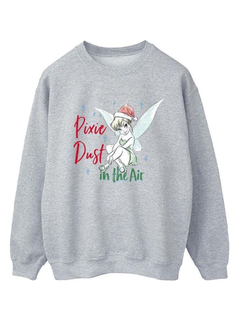 Disney - Sweat PIXIE DUST Gris chiné - Kiabi
