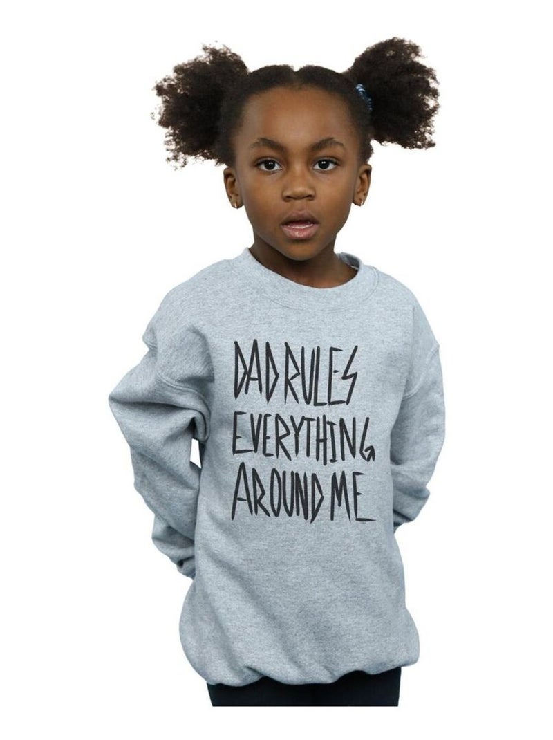 Disney - Sweat THE LION KING DAD RULES EVERYTHING Gris chiné - Kiabi