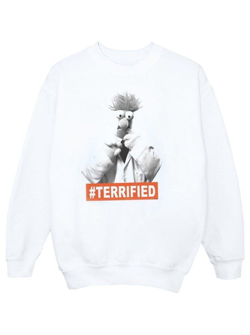 Disney - Sweat THE MUPPETS BEAKER TERRIFIED - Kiabi Disney - Sweat THE MUPPETS BEAKER TERRIFIED - Kiabi