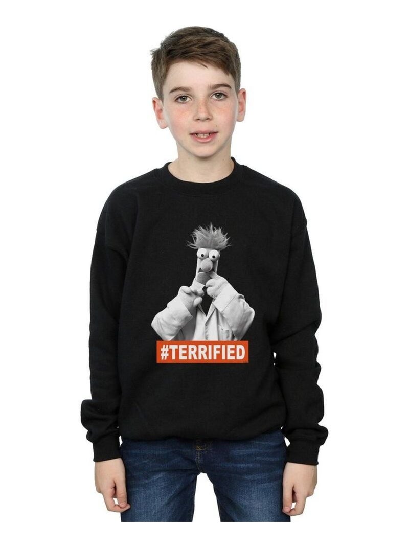Disney - Sweat THE MUPPETS BEAKER TERRIFIED Noir - Kiabi