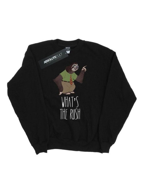 Disney - Sweat ZOOTROPOLIS WHAT'S THE RUSH - Kiabi