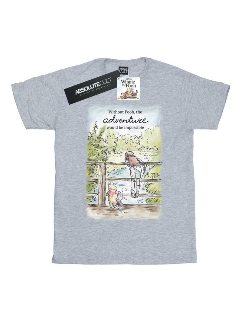 Disney - T-shirt ADVENTURE Gris chiné - Kiabi
