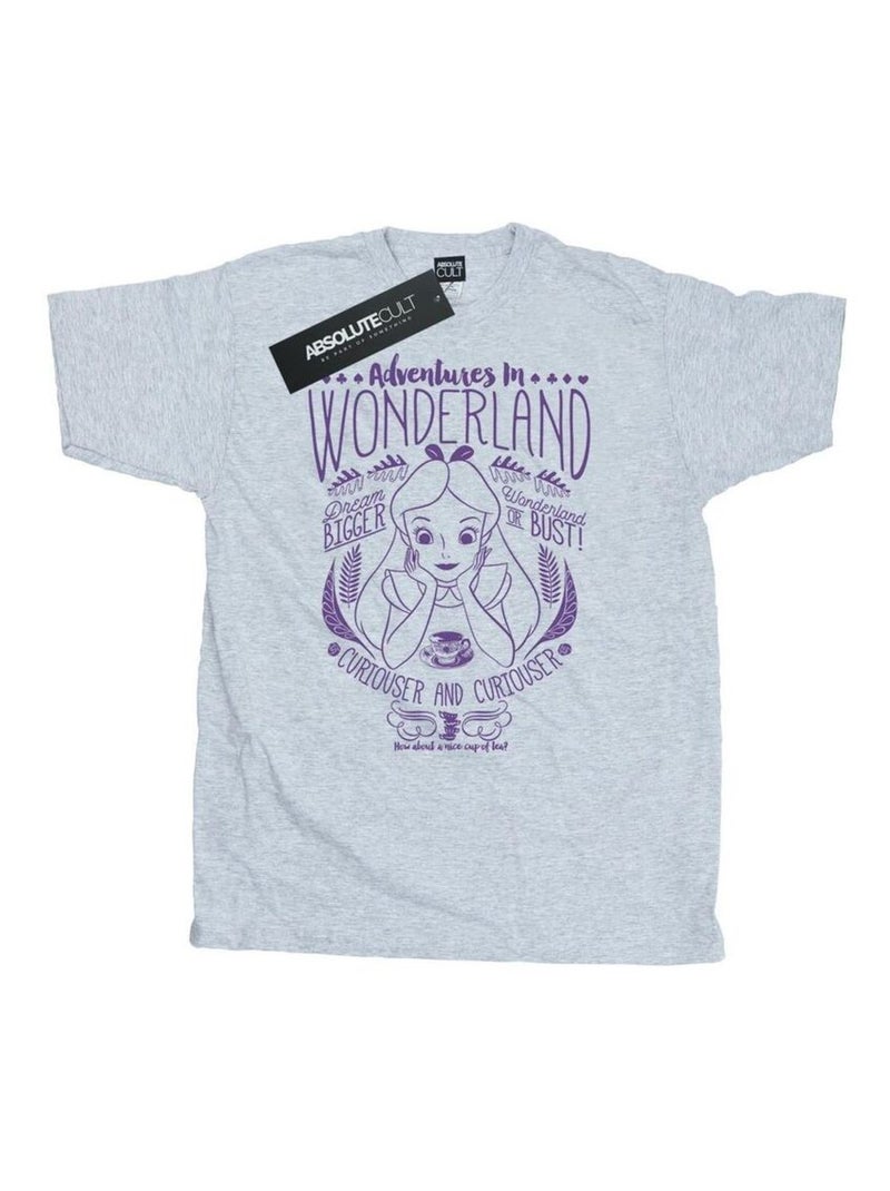 Disney - T-shirt ALICE IN WONDERLAND ADVENTURES IN WONDERLAND Gris chiné - Kiabi