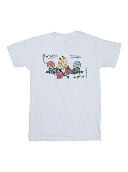 Disney - T-shirt ALICE IN WONDERLAND WHAT KIND OF GARDEN - Kiabi Disney - T-shirt ALICE IN WONDERLAND WHAT KIND OF GARDEN - Kiabi