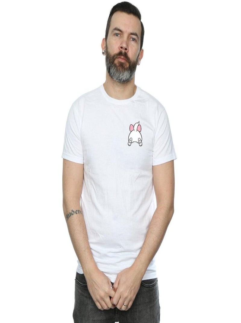 Disney - T-shirt ARISTOCATS Blanc - Kiabi
