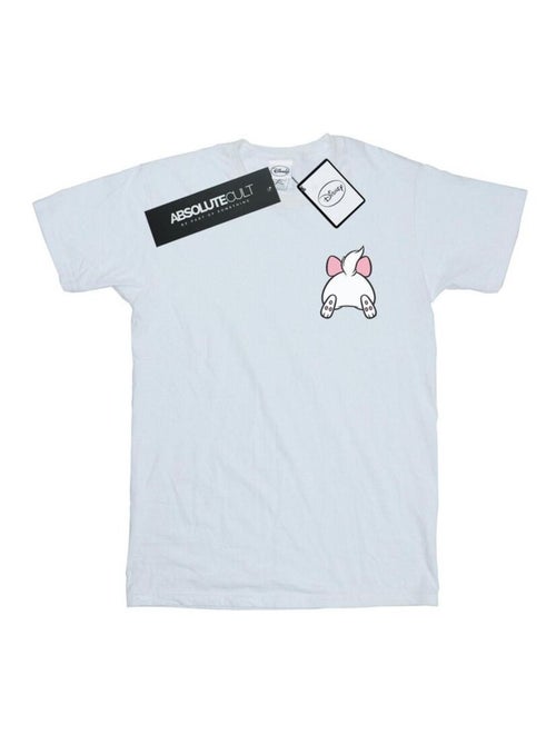 Disney - T-shirt ARISTOCATS - Kiabi