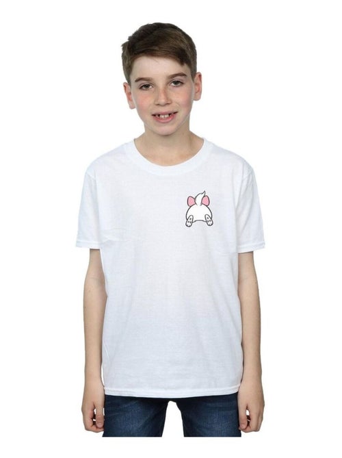 Disney - T-shirt ARISTOCATS - Kiabi
