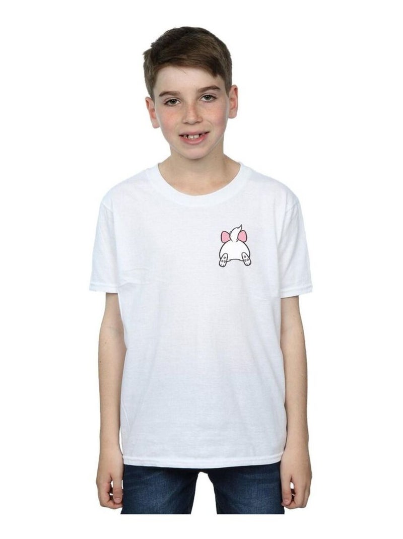 Disney - T-shirt ARISTOCATS Blanc - Kiabi